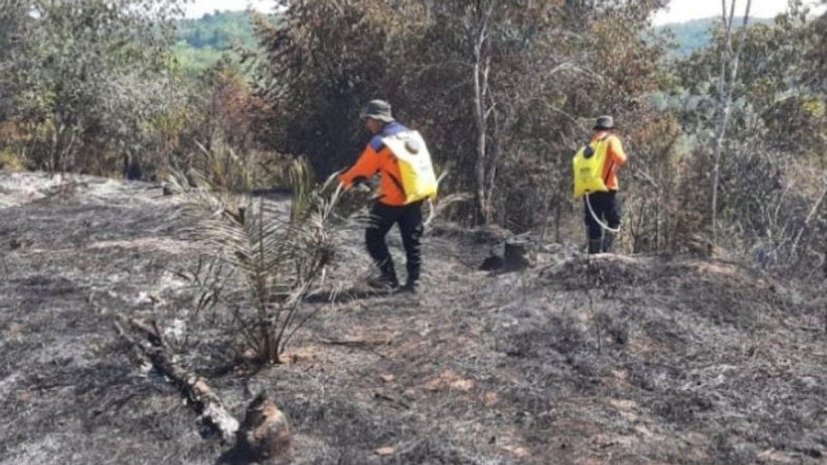 Riau Provincial Government Asks For Helicopter Assistance To Prevent Forestry