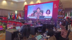 Laporan Mengejutkan dari G20 Bali, Antimikroba Tak Lagi Ampuh Atasi Infeksi Akibat Bakteri, Kuman dan Virus
