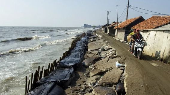 Le gouvernement de la ville de Jayapura a demandé de construire un cube en béton pour éviter la répétition d’abrétions sur la plage d’Holtekamp