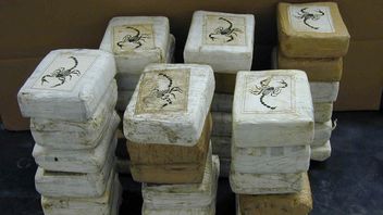 Penyelam Pakai Peralatan Elite Pingsan: Ada Kokain Rp202 Miliar, Polisi Langsung Gelar Penyelidikan
