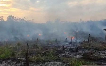 Polisi Tangkap Warga Pembakar Lahan di Muara Enim Sumsel