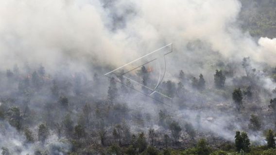 过去一周森林和陆地火灾案件增加