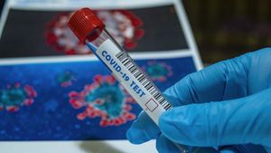 China Temukan Virus Corona Kelelawar Mirip Virus COVID-19