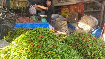 Floods Make Chili Selling Prices In West Aceh Increase By IDR 250 Thousand/Kg