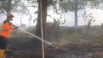 Hentikan Penyebaran Api, KLHK Segel Lokasi Kebakaran Hutan dari Empat Perusahaan di Kalbar