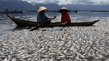 ar, cinq tonnes de poisson du lac d'examen sont mortes des vents violents