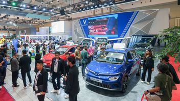 長期的なコミットメント、VinFastは電気自動車の所有のための財政的解決策を提示します