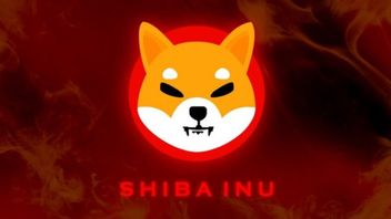 Shiba Inu Meme Coin Developer Wants To Increase Shibarium Adoption