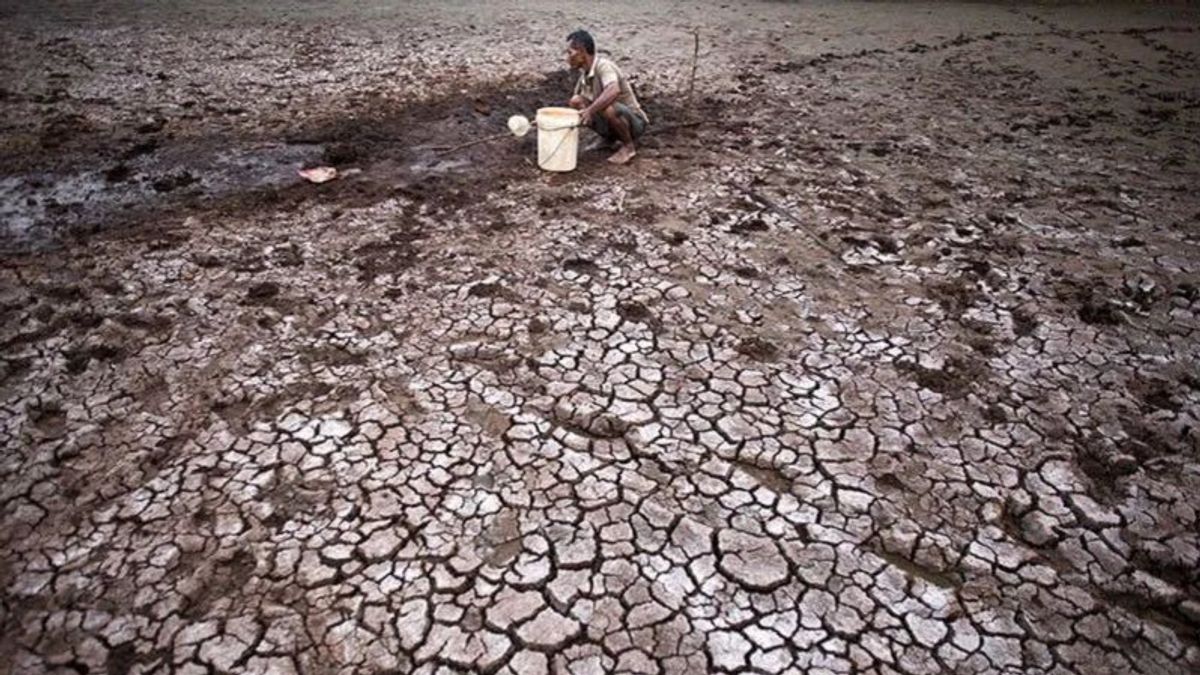 DIY Will Create Artificial Rain Using BNPB Aircraft