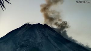Gunung Merapi 6 Kali Meluncurkan Awan Panas Guguran