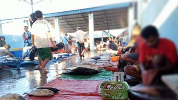 Fish Prices In Kupang Rise, Weather Is The Reason