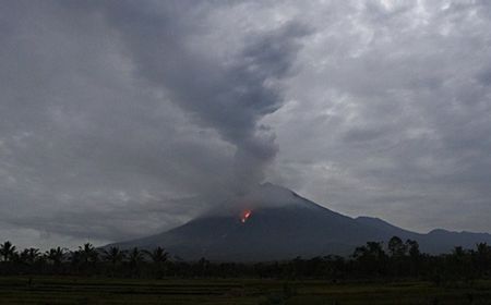 Gunung Semeru Keluarkan Awan Panas, Penerbangan di Bandara Surabaya-Malang Masih Aman