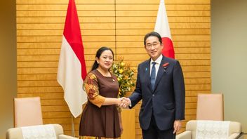 Disambut PM Fumio Kishida di Tokyo, Puan Ajak Jepang Investasi di Proyek IKN Nusantara