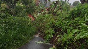 Tuntaskan Longsor Tutup Jalan Wangunjaya Cianjur, BPBD Bakal Pasang Tembok Cegah Susulan