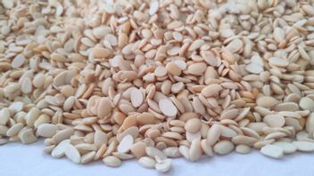 IPB食品专家:基因工程食品高效安全,不要陷入虚假信息