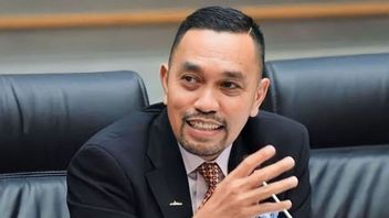 'Sahroni Itu Anak Jakarta, Ridwan Kamil Baru Masuk,' Optimisme NasDem Kadernya Unggul Bila Maju Pilkada DKI