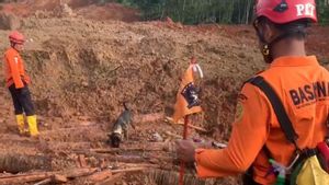 Tim SAR Kerahkan Anjing Pelacak-Alat Berat Cari Korban Longsor Cilacap