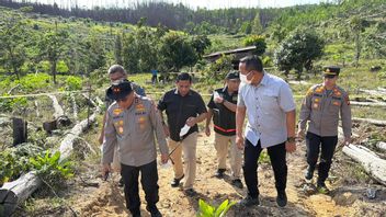 Case of Dead Elephant Child in Tesso Nilo, Ditreskrimsus Polda Riau Names Land Owner as Suspect