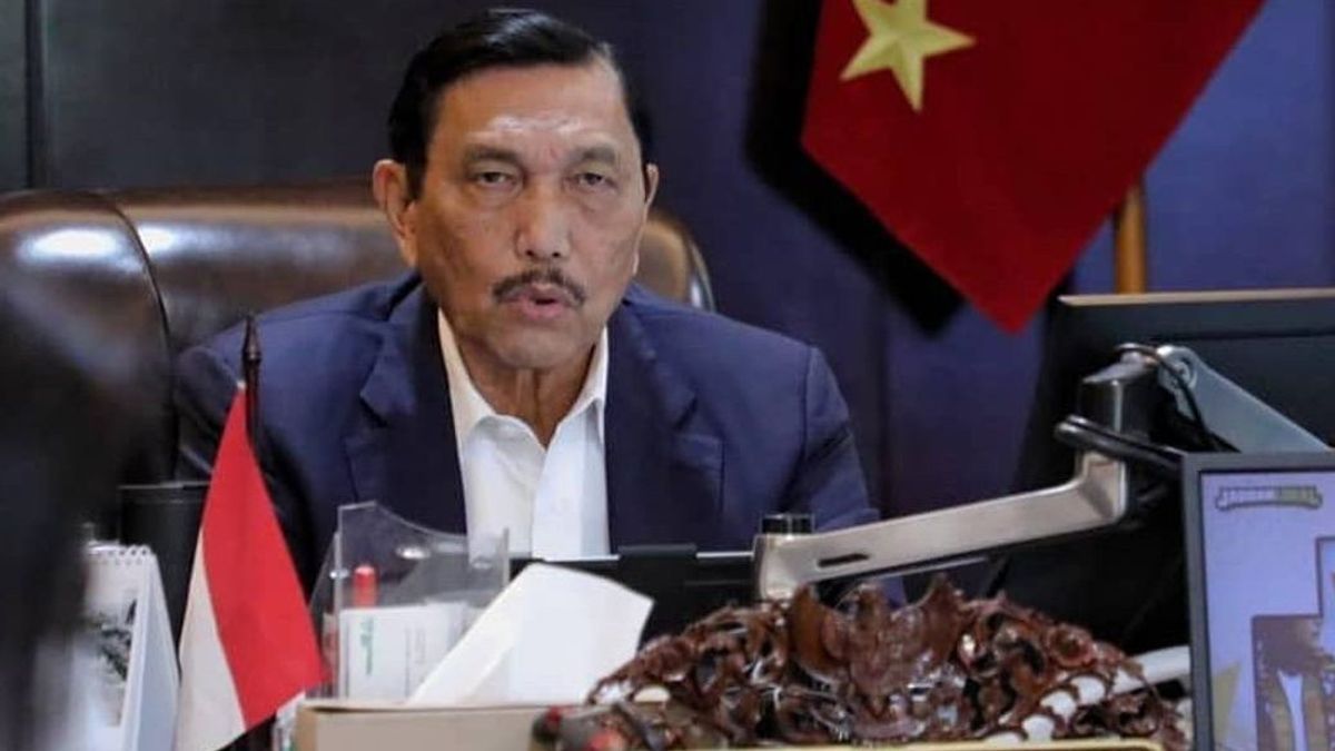 Harga Ivermectin Capai Ratusan Ribu, Luhut: Jangan Ambil Keuntungan dari Kesulitan Masyarakat