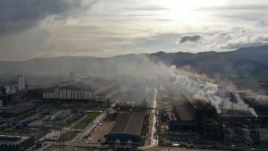 Investasi Smelter Pengolah Nikel Bakal Makin Marak di Tahun-tahun Mendatang