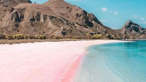 Pink Beach di NTT Dinobatkan Jadi Pantai Terindah di Dunia