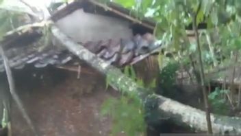 Puluhan Rumah Rusak Disapu Angin Puting Beliung, 32 Kepala Keluarga Bojongpicung Cianjur Mengungsi