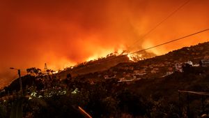 Hujan Abu Landa New Mexico Akibat Kebakaran Hutan, Ribuan Orang Dievakuasi