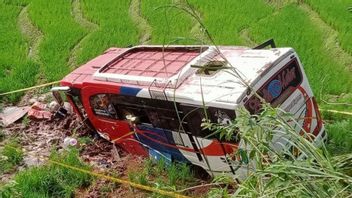 Bus Pasaman Transport Nyungsep di Persawahan Sumbar, Supir Mengemudi dengan Ugal-ugalan