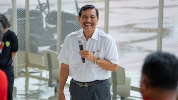 Luhut Sebut Direksi LPI Akan Terpilih Pekan Depan, Salah Satunya adalah Keponakannya Sendiri