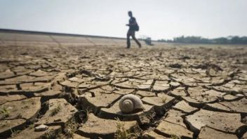 8 Districts In Wonogiri Affected By Drought, Regent: This Is Very Worrying