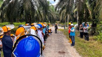 PTPN IV PalmCo Gandeng PLN donne l’éducation sur la sécurité de la récolte, K3 comme priorité
