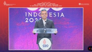Wamenkeu Suahasil Paparkan Keberhasilan Burden Sharing dengan BI di Forum G20