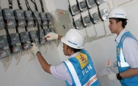 PLN Tambah 3,5 Juta Pelanggan di 2023. Diominasi Golongan Rumah Tangga