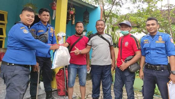 Matanya Terkena Semburan Bisa Ular Cobra, 3 Warga Jember Dibawa ke Rumah Sakit