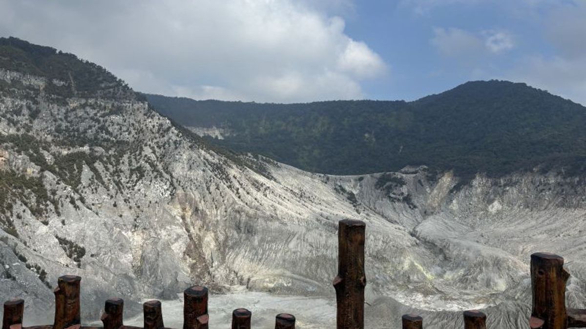 BPBD Sarankan Area Tangkuban Perahu Ditutup Sementara hingga Api Padam