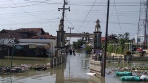 Sejumlah Korban Banjir Demak Kembali ke Rumah, PUPR Masih Lakukan Penguatan Tanggul Jebol