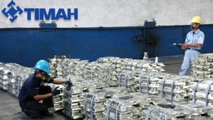 Tingkatkan Operasional, PT Timah Tertibkan Tambang Ilegal dengan Satgas Internal