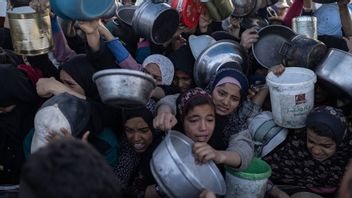   Tak Ada Pasokan Bantuan Tersisa di Gaza, Relawan pun Sampai Kelaparan