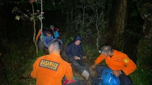 被困在Lompobattang山上的六名登山者被Basarnas救出