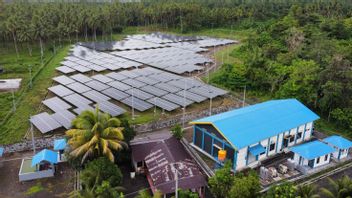Reduce Global Warming, PHR Builds 25 MW Solar Power Plant In Rokan Block