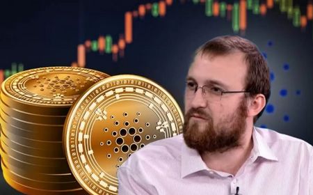 Charles Hoskinson Curhat Soal Pengembangan Cardano