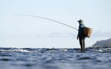 Umpan untuk Mancing di Laut yang dapat Anda Gunakan, Ini Daftarnya