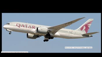 エリル・プトラ・リドワン・カミルの遺体を乗せた飛行機の目撃情報:カタール航空A7-BCU