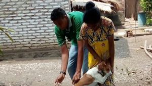 伦巴塔NTT居民,有狗尚未接种狂犬病疫苗,要求立即报告动物卫生工作者