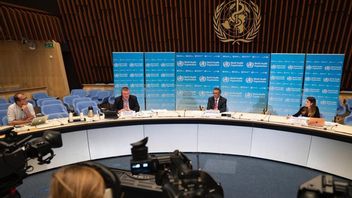 منظمة الصحة العالمية تحث على اجتماع تحديث استراتيجية مكافحة الأوبئة في 19 من عام 2010