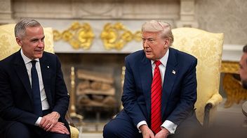 トランプは反関税広告、カナダとの貿易交渉の終了に気分を害した