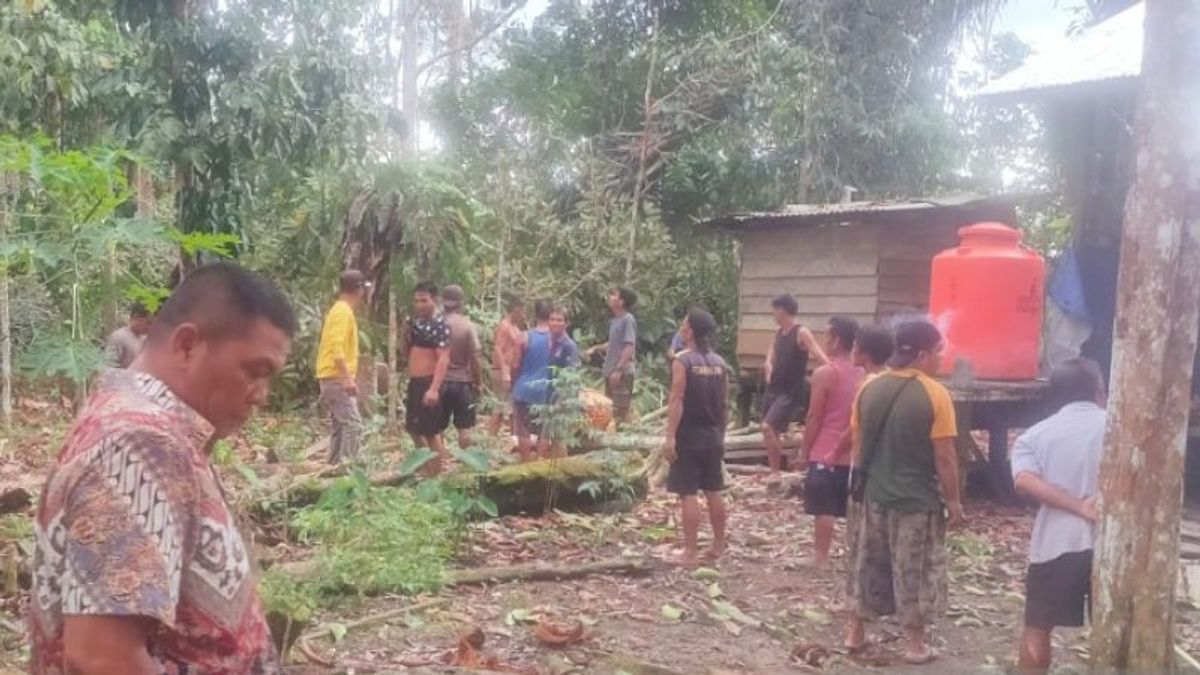 7 منازل في كابواس هولو تضررت من الإعصار ، 1 مائلة بسبب سقوط شجرة