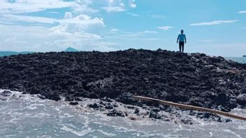 Pushidrosal TNI AL Builds A Research Post On Tanimbar New Island To Simpulse Causes Of Emergence