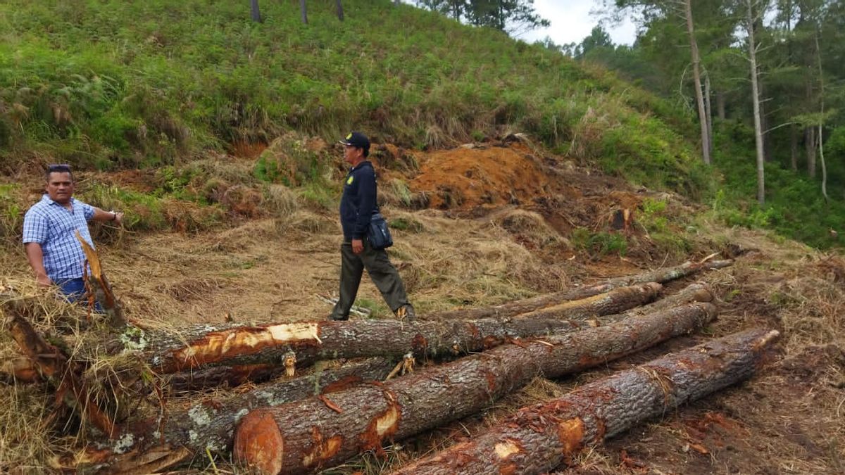 掘削機を持つランバの森、トバ北スマトラ警察によって逮捕された4人