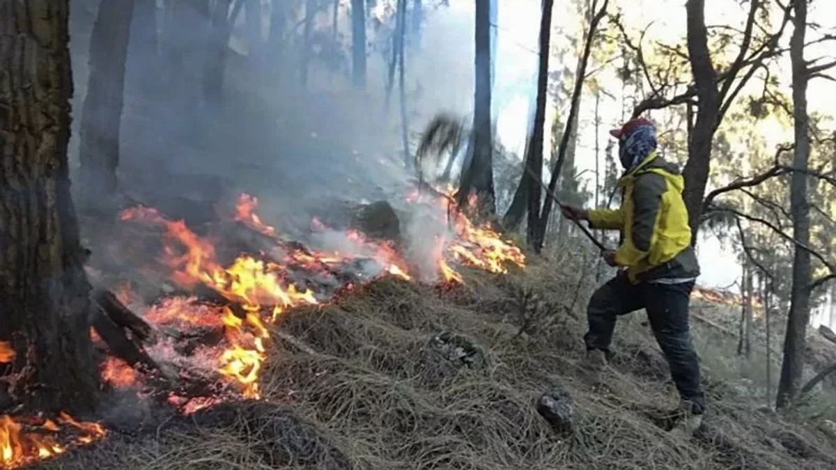 Entering The Great Season, 3 Land Fires Occured In Natuna 2 Last Day